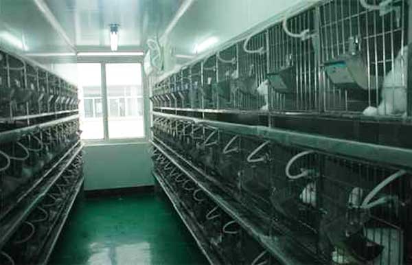 動物實(shí)驗(yàn)室工程