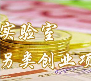 世界創(chuàng)業(yè)實(shí)驗(yàn)室,網(wǎng)紅還能持續(xù)多久,為什么網(wǎng)紅那么賺錢